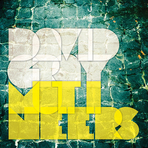 Pochette de l'album "Mutineers" deDavid Gray