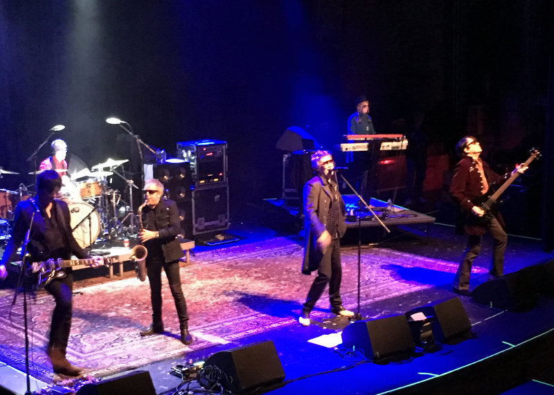 Photo des Psychedelic Furs