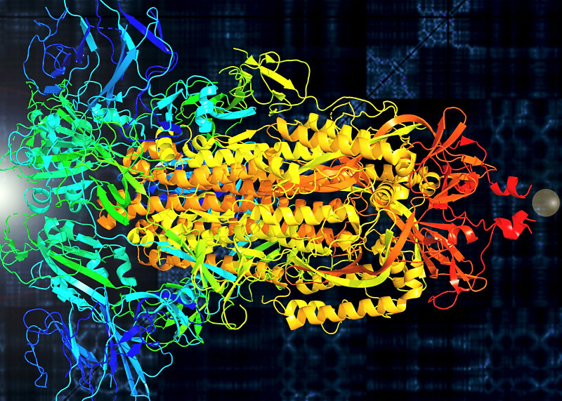 Protéine S (Spike) du SARS-CoV-2, le virus de la maladie Covid-19.