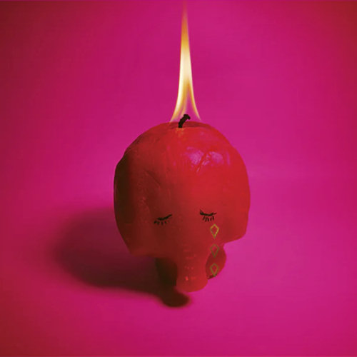 Pochette de l'album "Pink Elephant" d'Arcade Fire