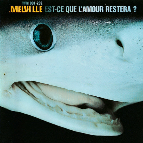 Pochette de l'album "Est-ce que l'amour restera ?" de Melville