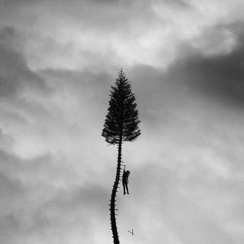 Pochette de l'album "A Black Mile To The Surface" de Manchester Orchestra