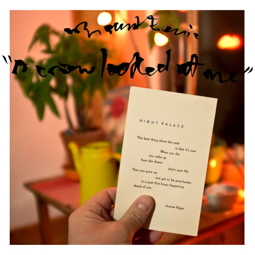 Pochette de l'album "A Crow Looked At Me" de Mount Eerie