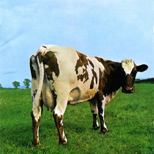 Pochette de l'album "Atom Heart Mother" de Pink Floyd