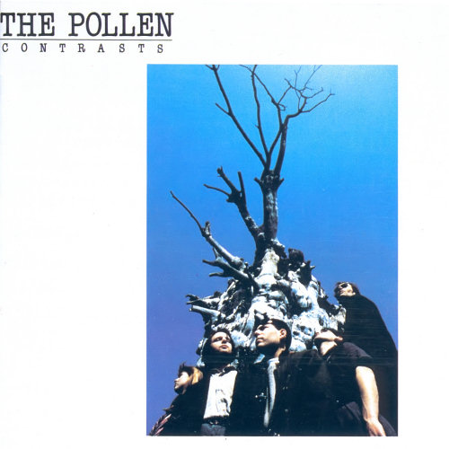Pochette de l'album "Contrasts" de Pollen