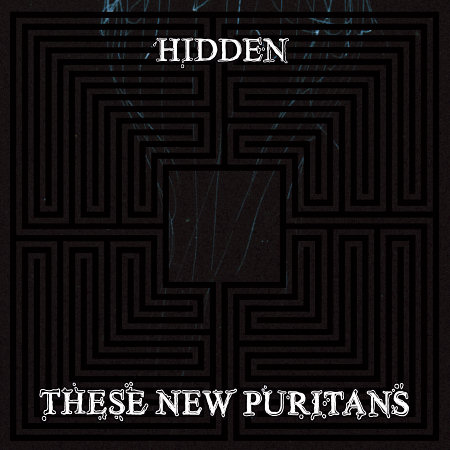 Pochette de l'album "Hidden" des These New Puritans