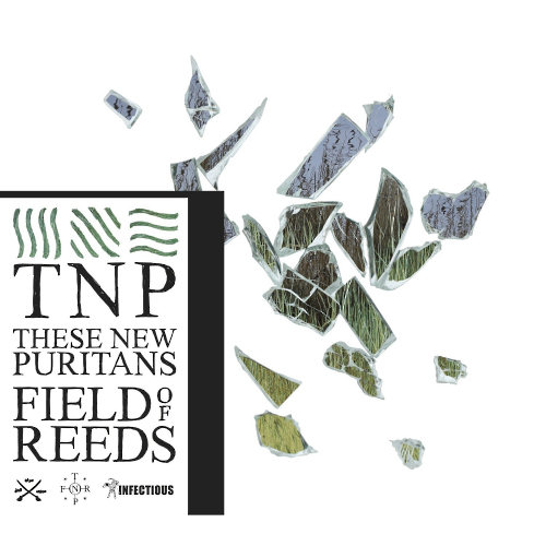 Pochette de l'album "Field Of Reeds" des These New Puritans